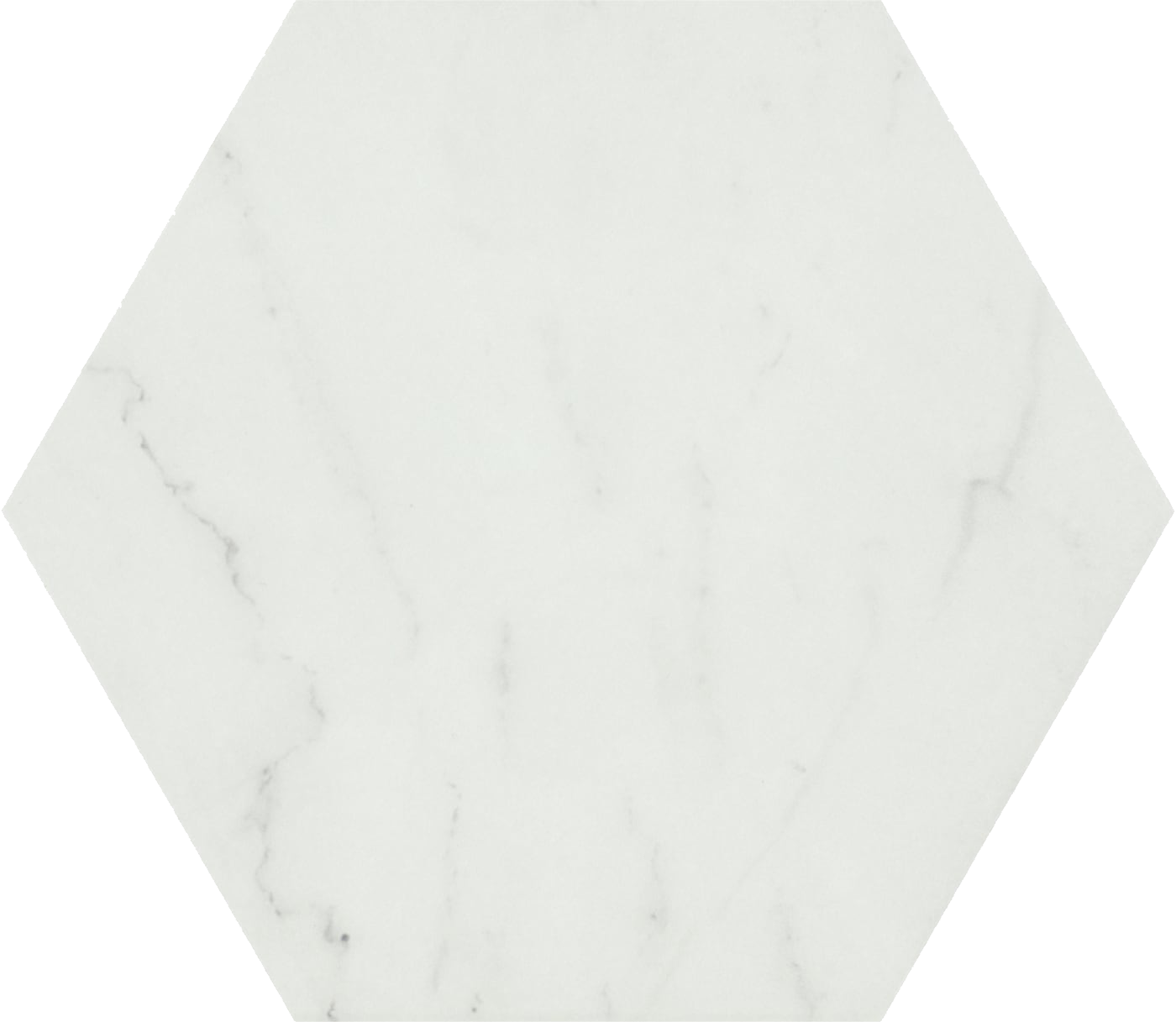 L0100X0116TRD01A1N12-2