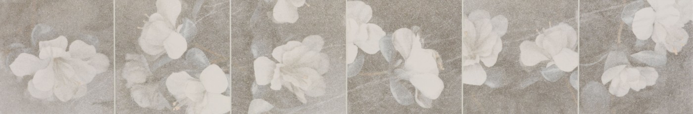 K0148X0900RDP04E1R1B-0