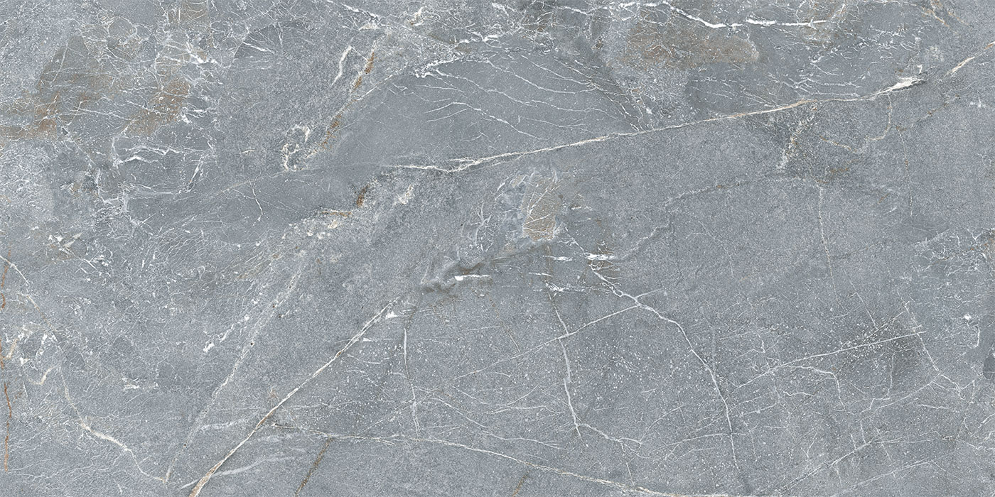 S0600X1200MRV02A1P12-1