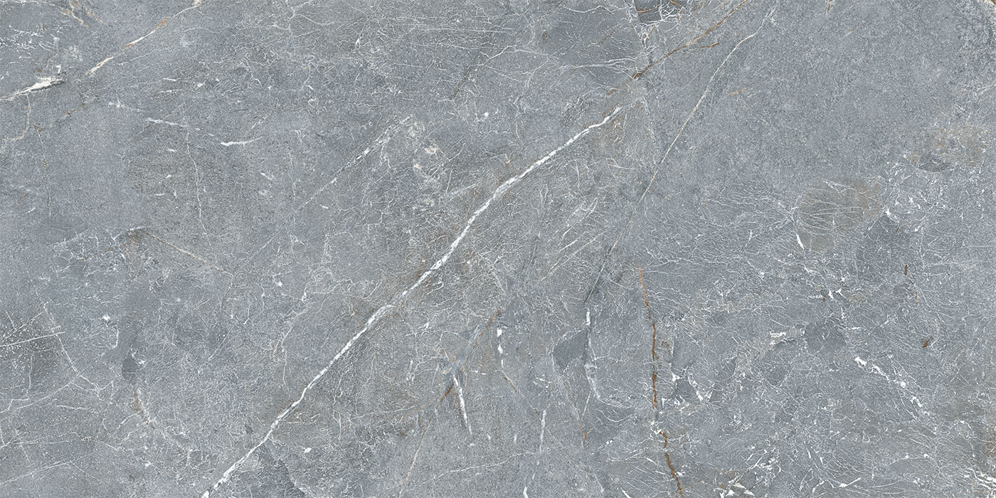 S0600X1200MRV02A1P12-3