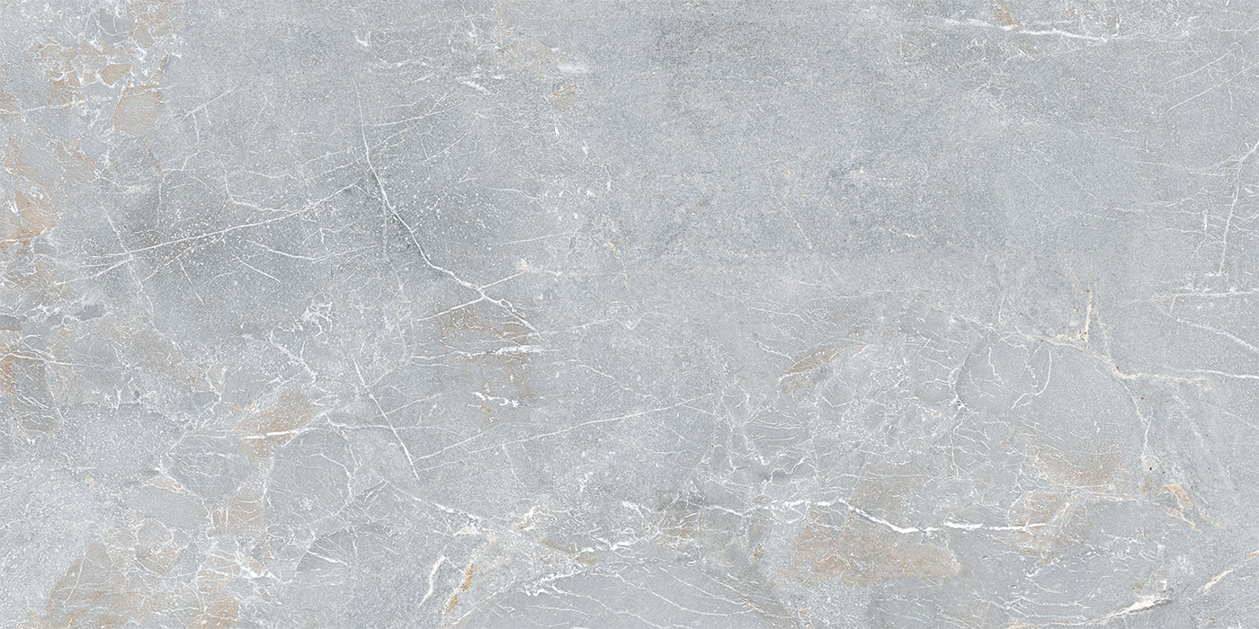 S0600X1200MRV01A1P12-0