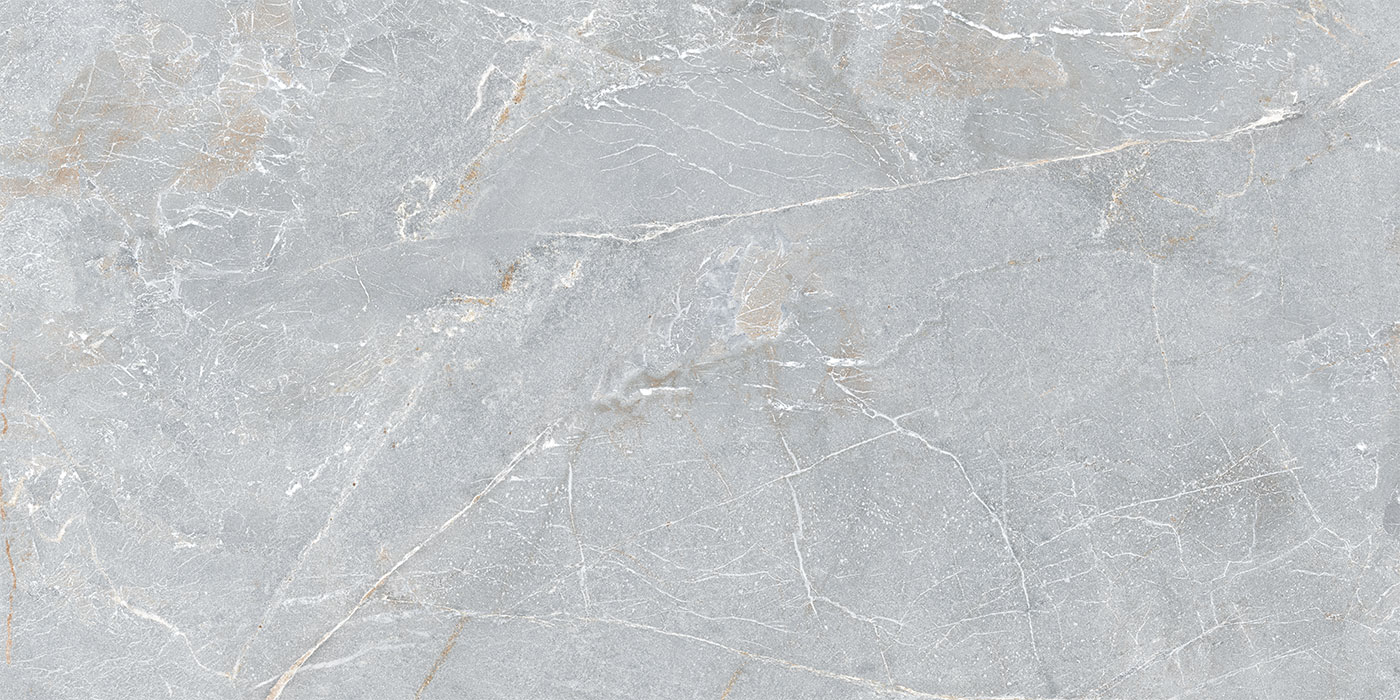 S0600X1200MRV01A1P12-1