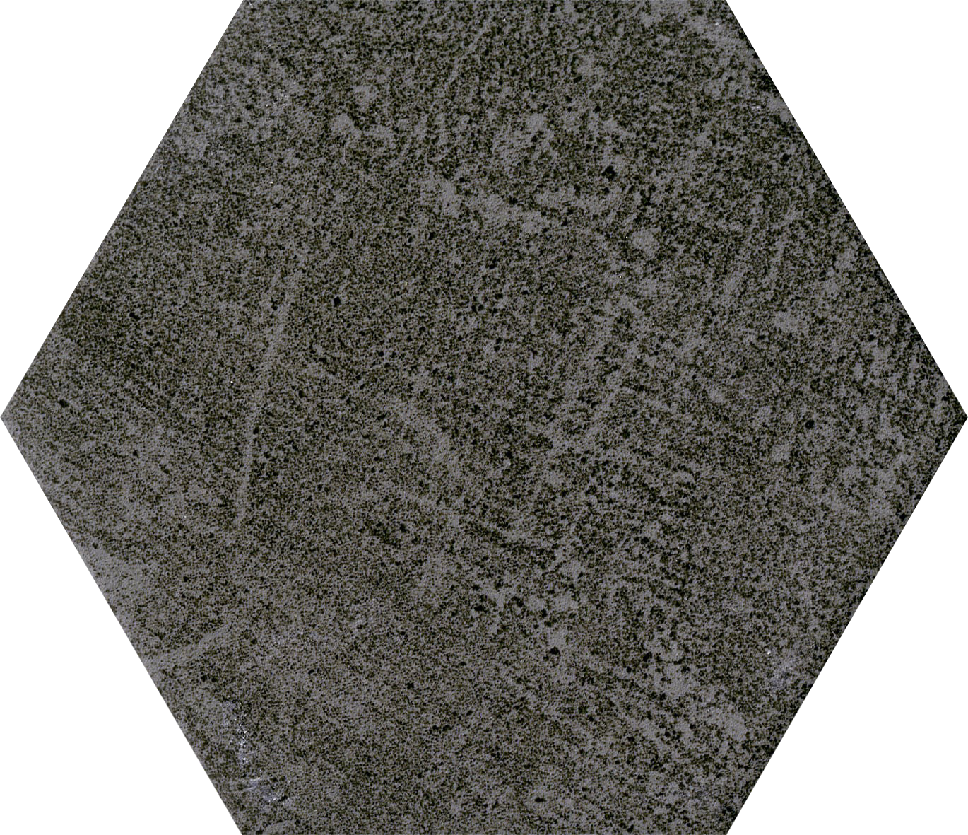 L0100X0116VES01A1N12-1