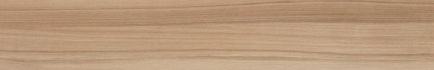 S0197X1200NTW03A1P12-0