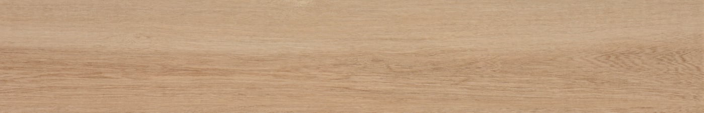 S0197X1200NTW03A1P12-2